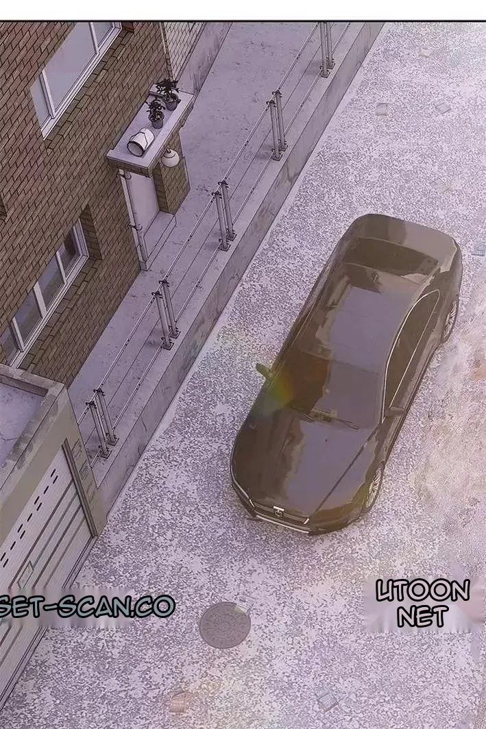 Сторінка 31