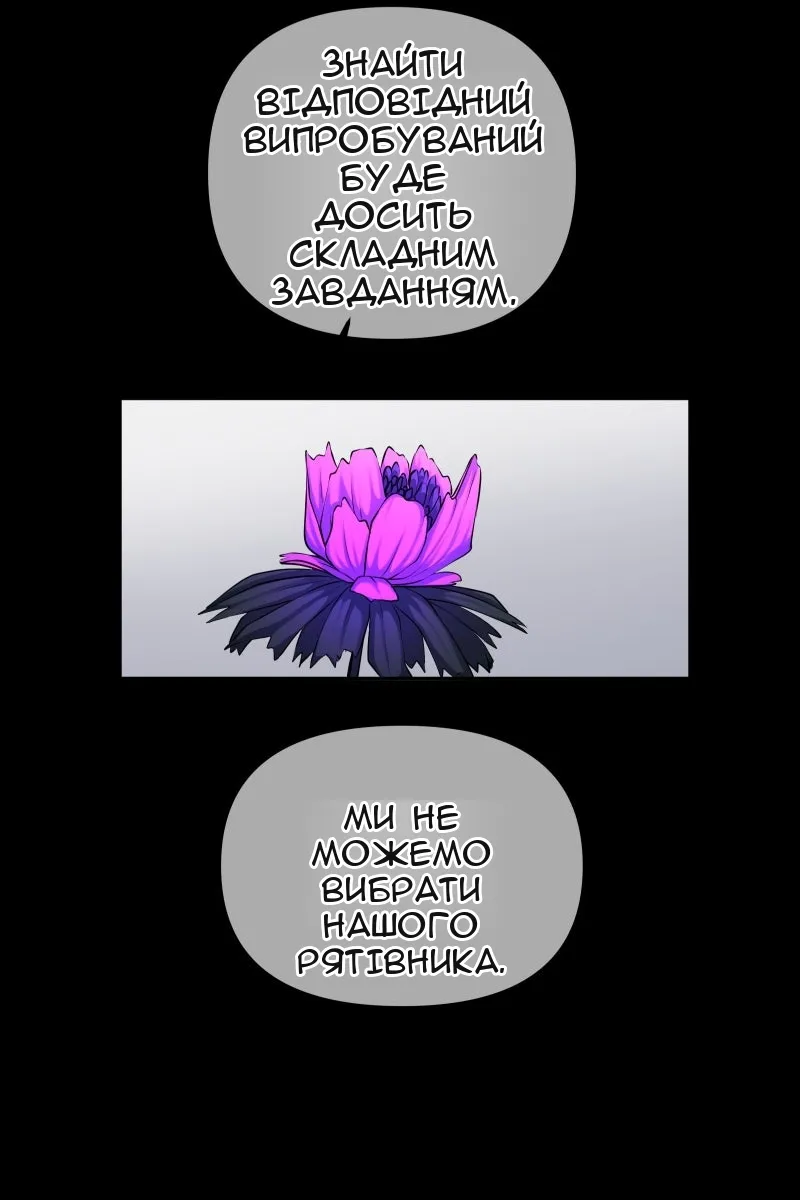 Сторінка 11