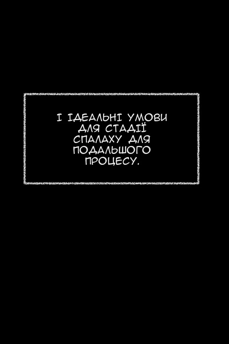 Сторінка 31