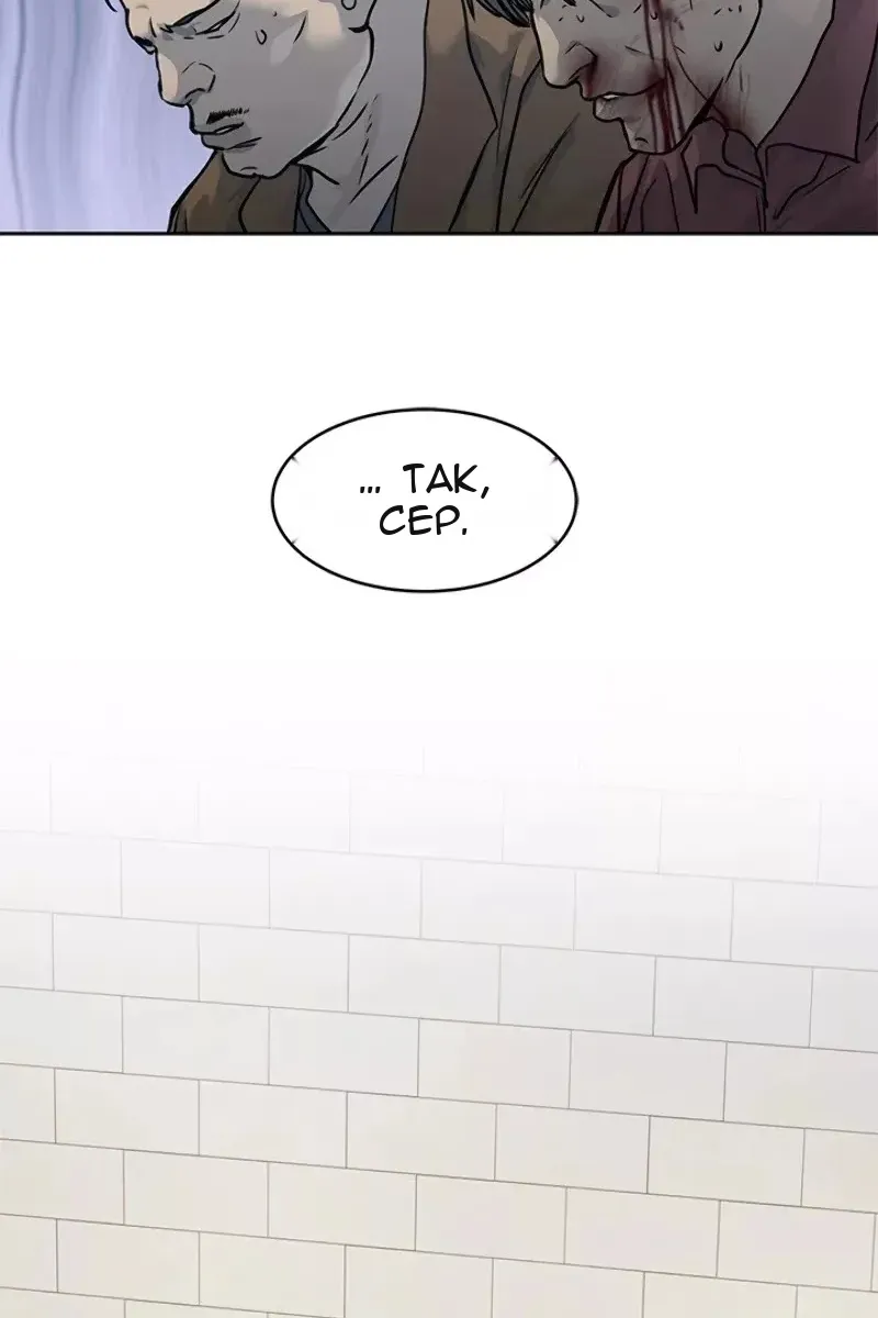 Сторінка 31