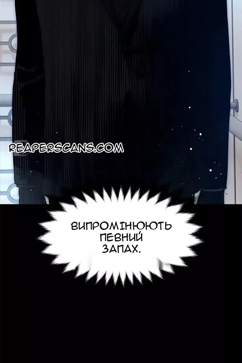 Сторінка 11