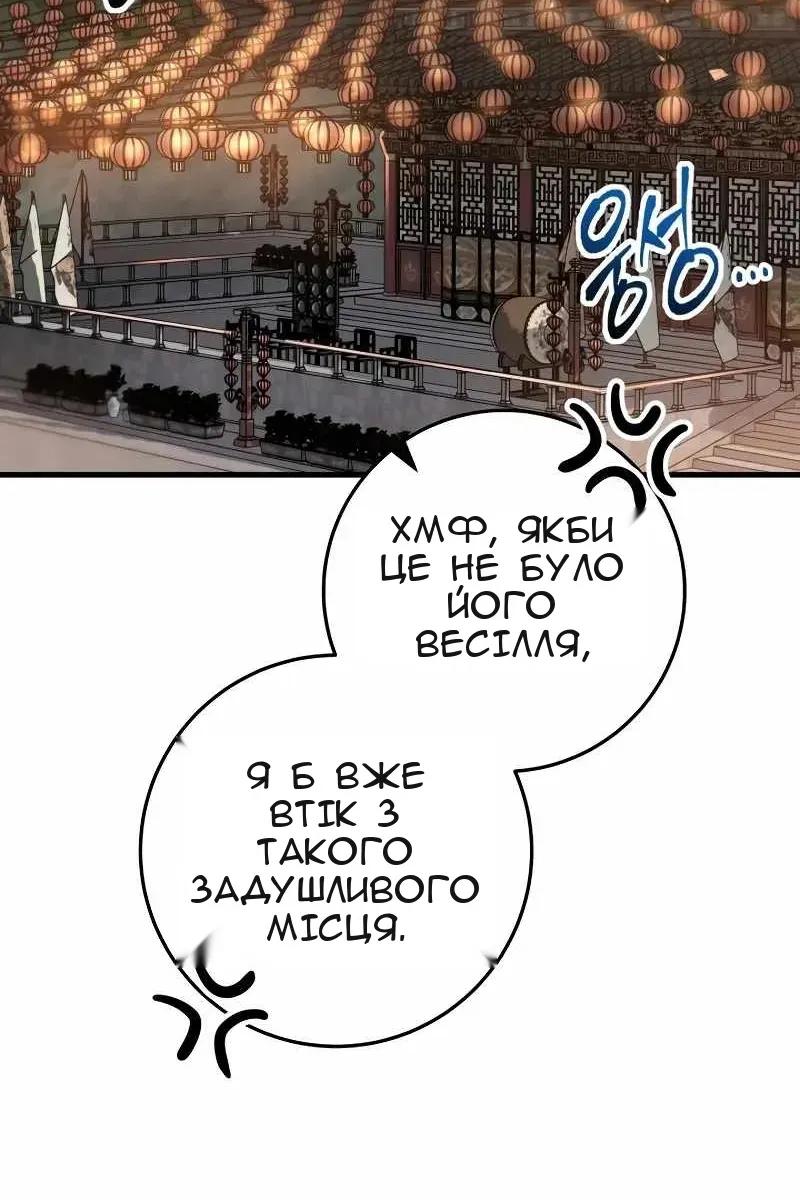 Сторінка 29
