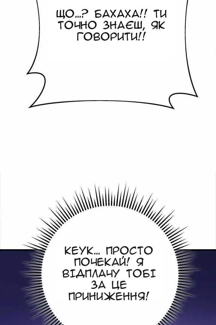 Сторінка 113