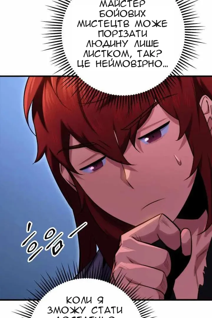 Сторінка 17