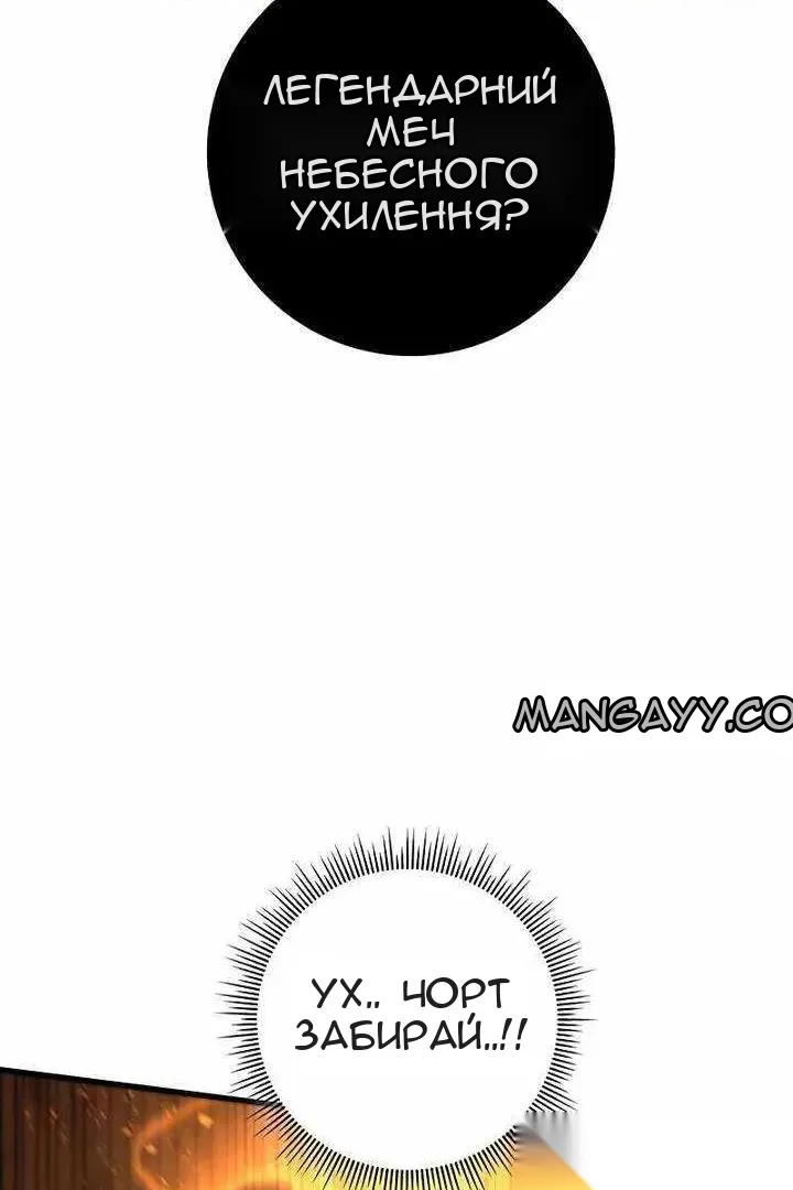Сторінка 11