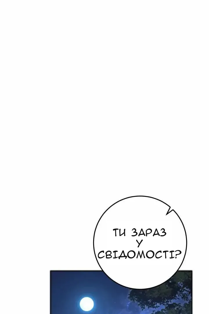 Сторінка 28