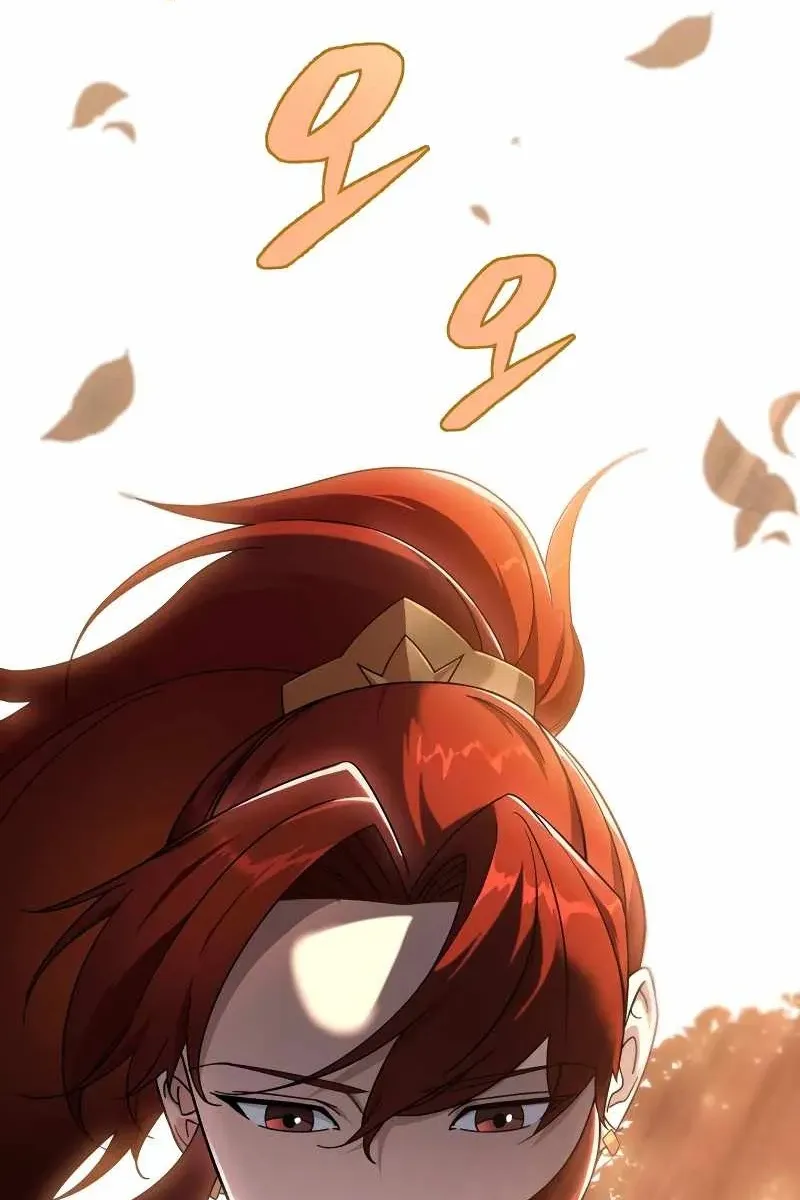 Сторінка 29