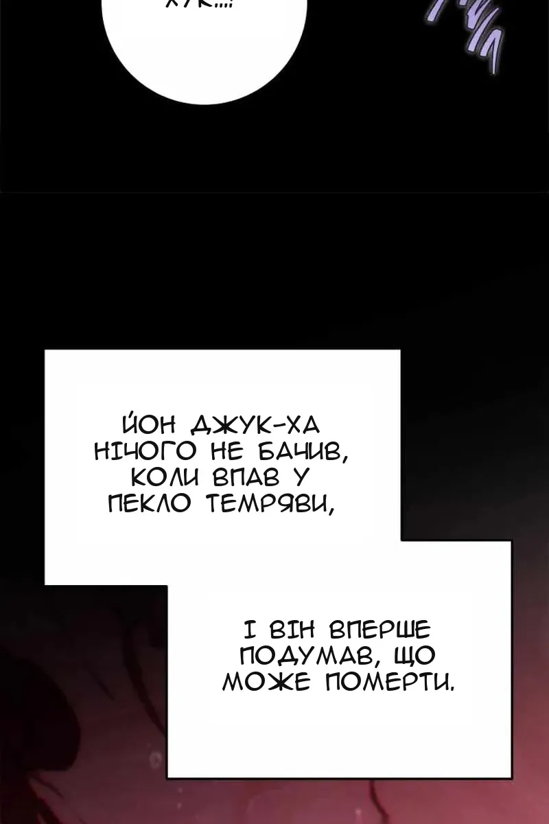 Сторінка 29