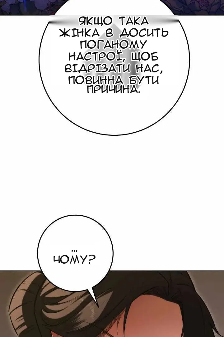 Сторінка 28