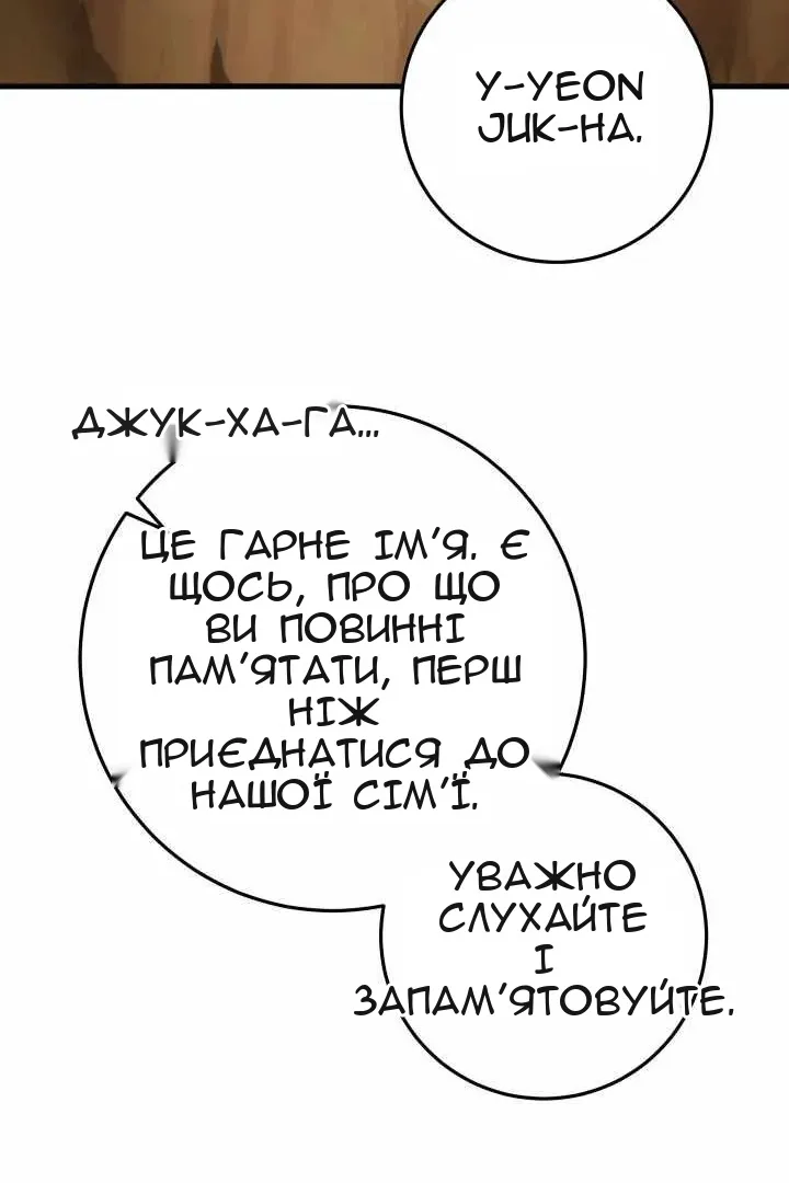 Сторінка 113