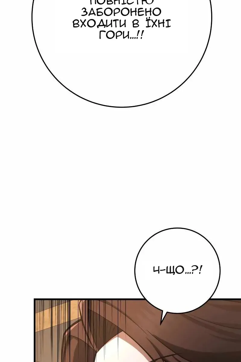Сторінка 41