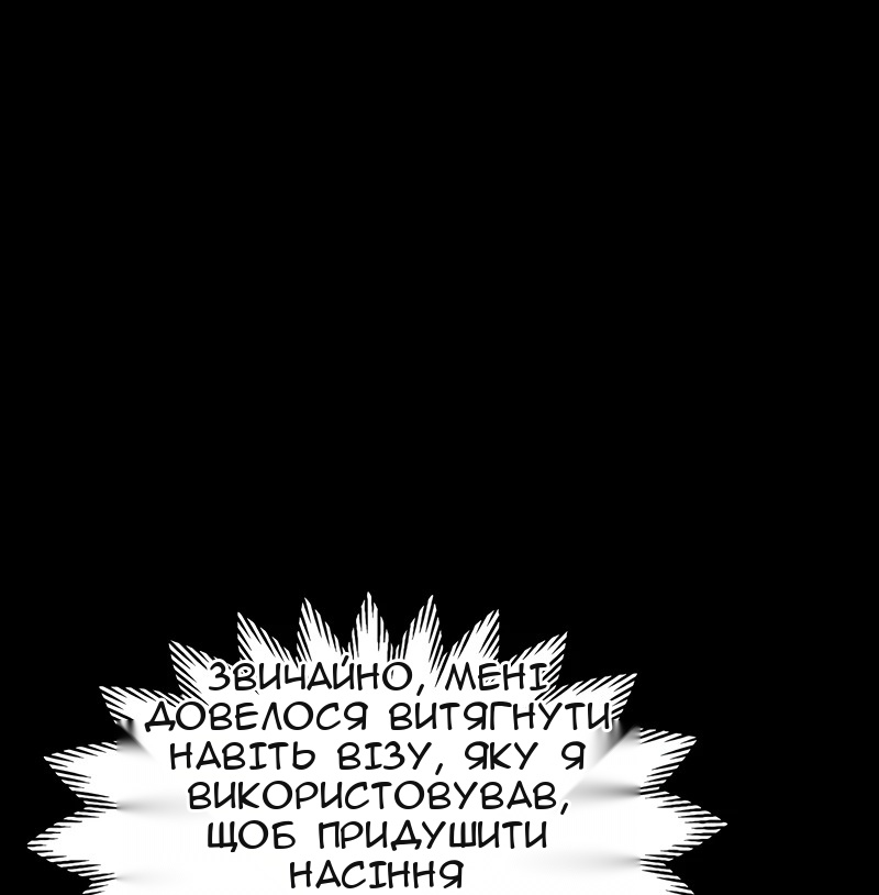Сторінка 17