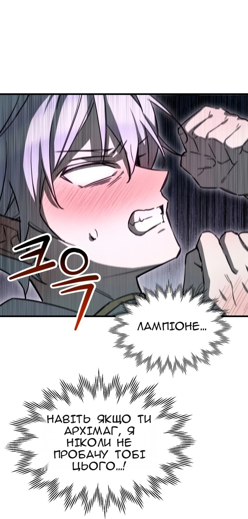 Сторінка 28