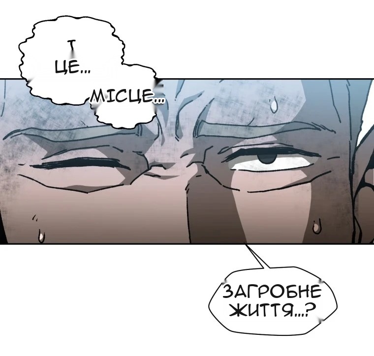 Сторінка 13