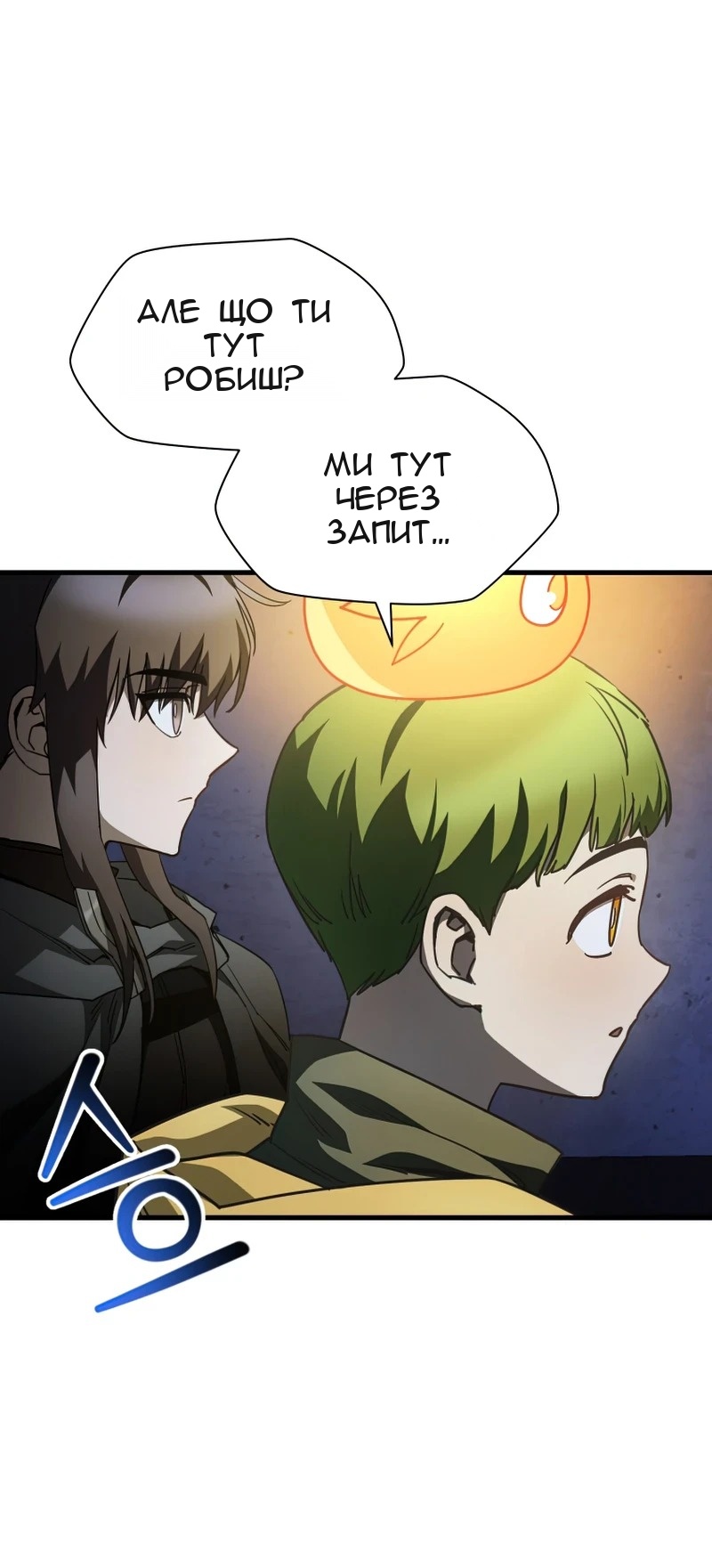 Сторінка 29