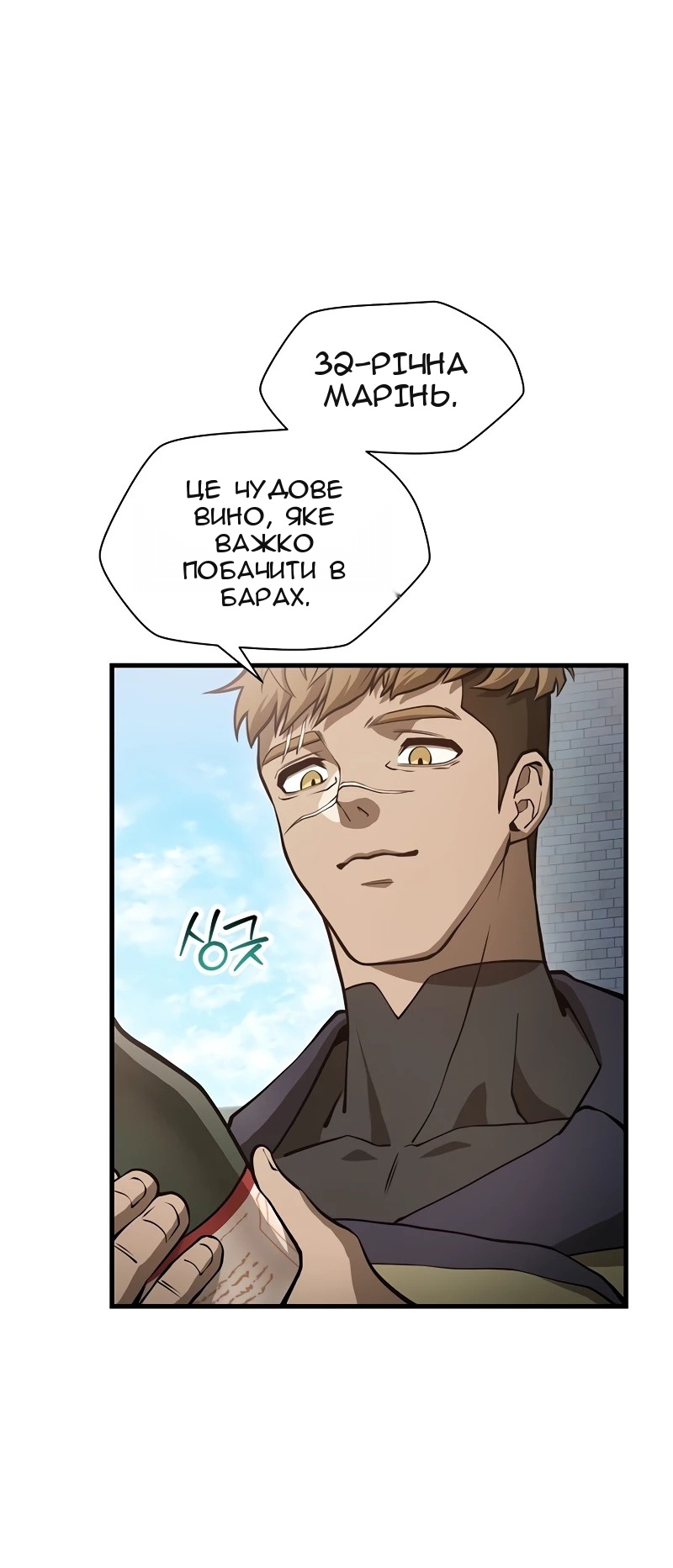 Сторінка 33