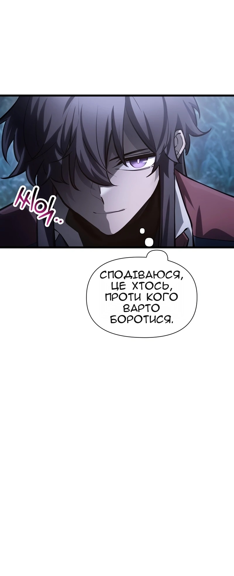 Сторінка 31