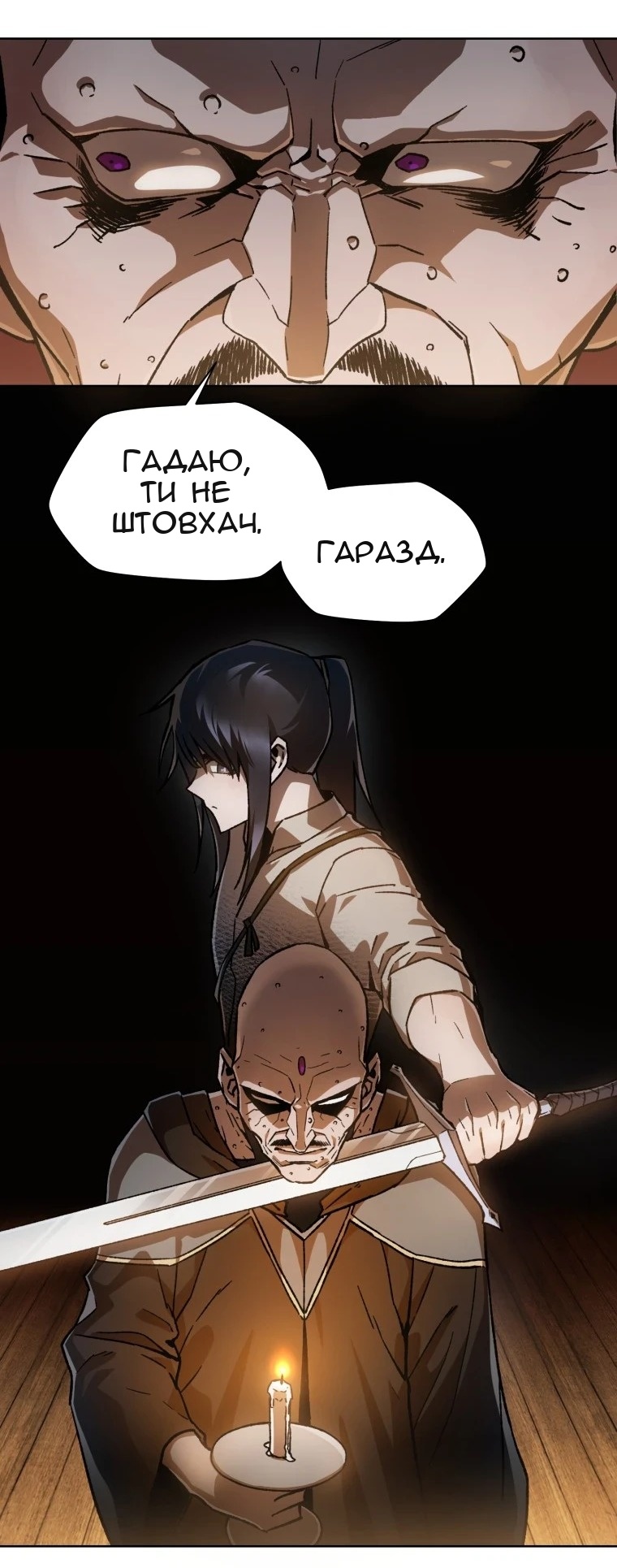 Сторінка 31