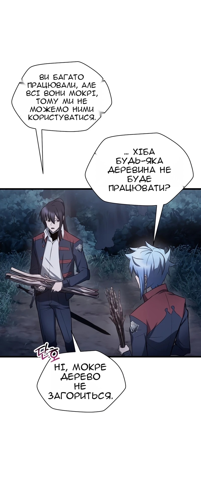Сторінка 31