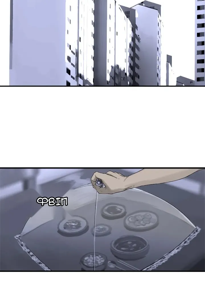 Сторінка 13
