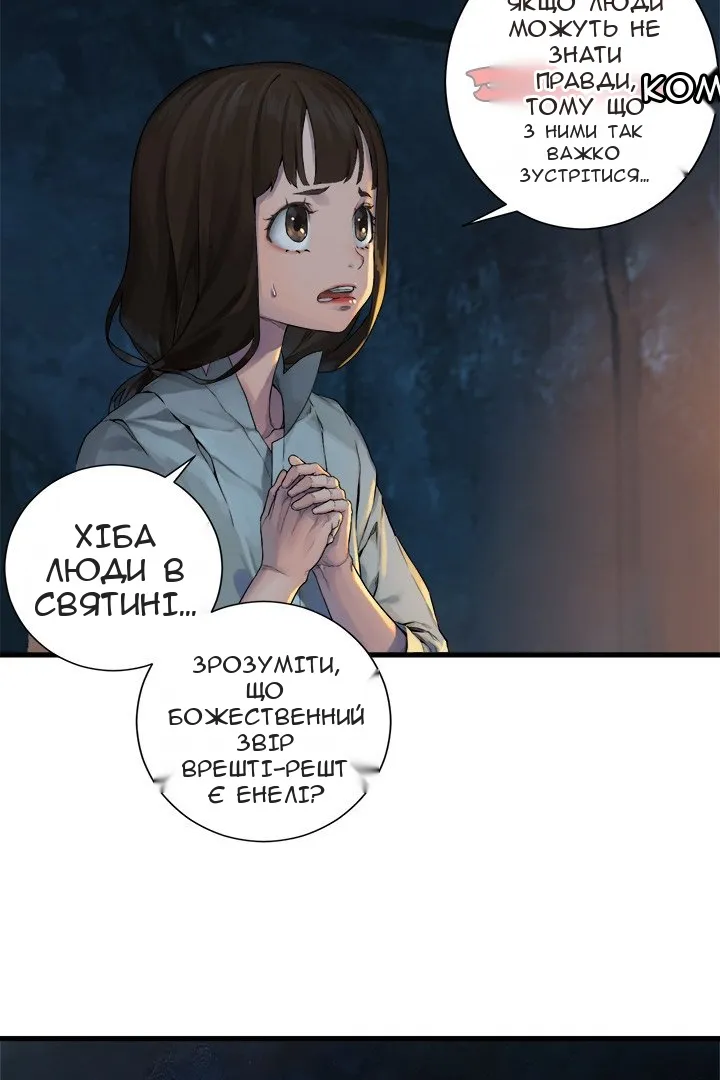 Сторінка 17