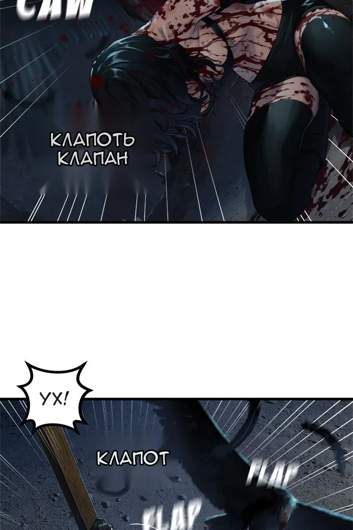 Сторінка 31