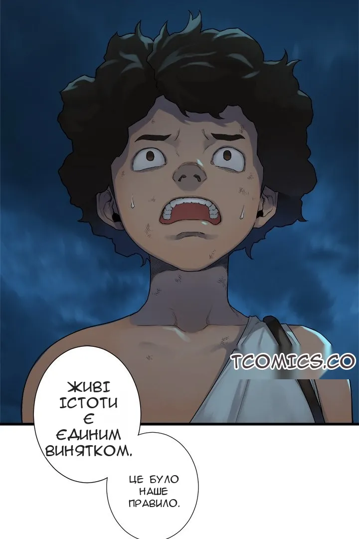 Сторінка 19