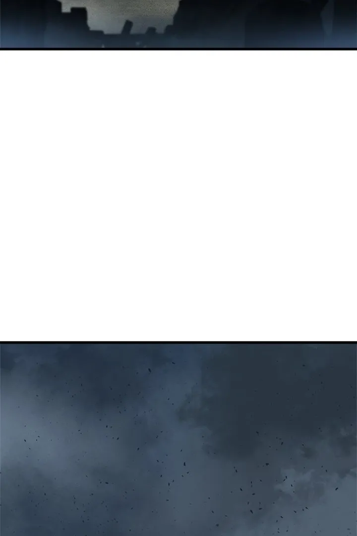 Сторінка 29