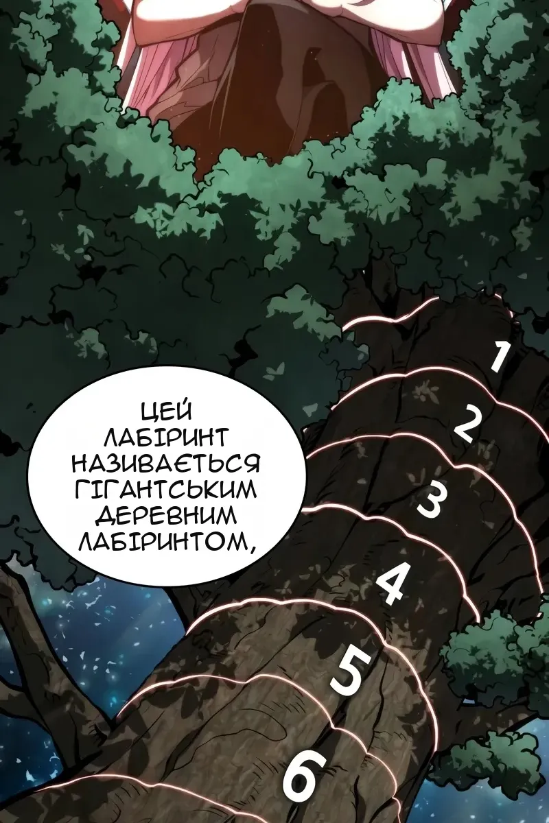 Сторінка 29
