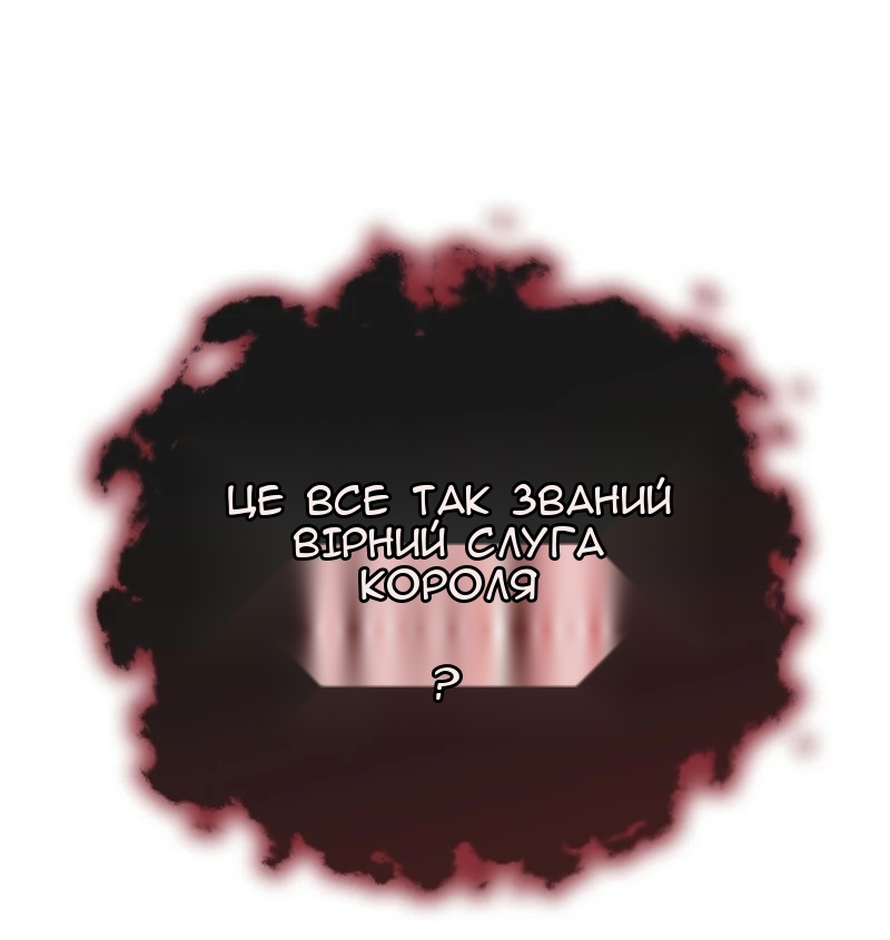 Сторінка 17