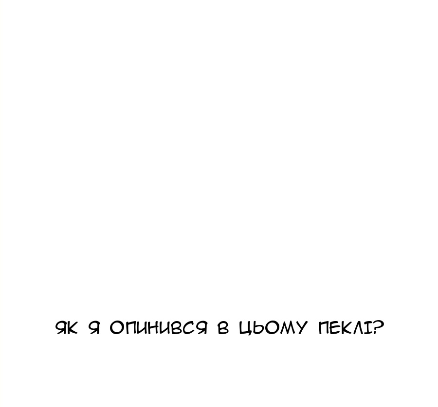 Сторінка 29