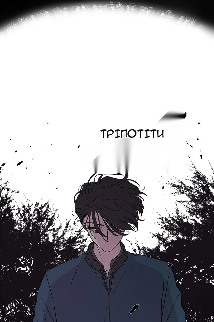 Сторінка 31