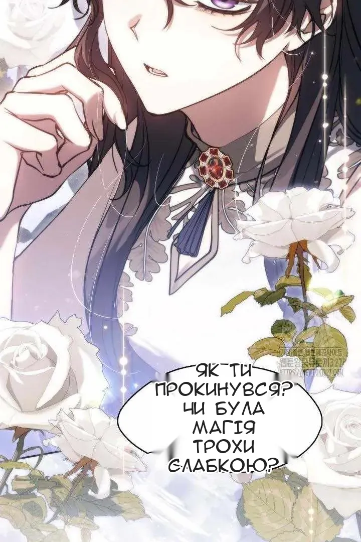 Сторінка 33
