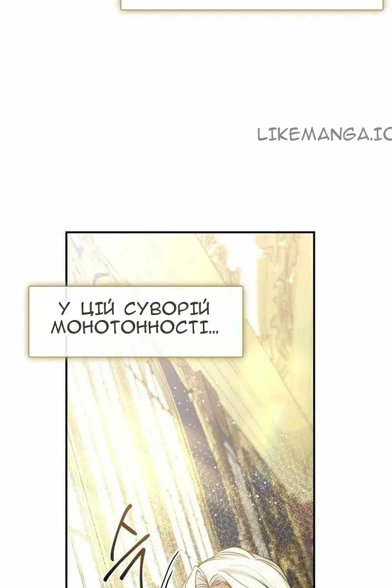 Сторінка 42