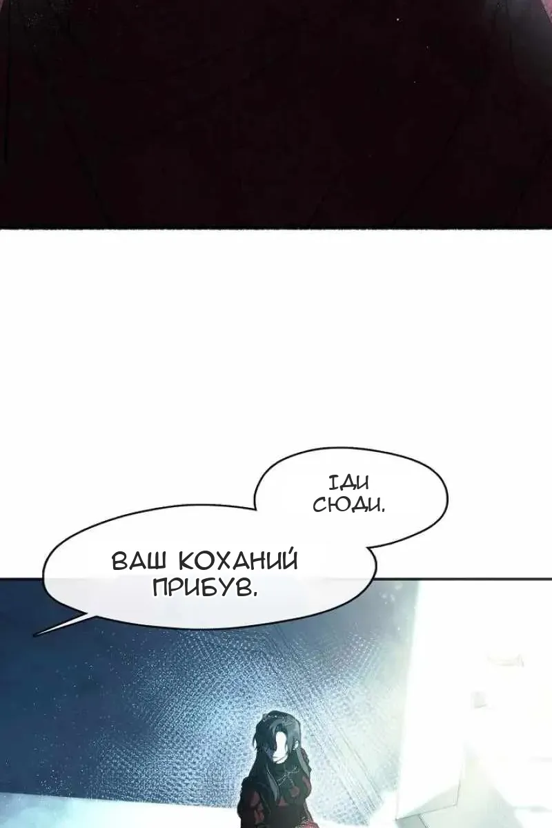 Сторінка 11