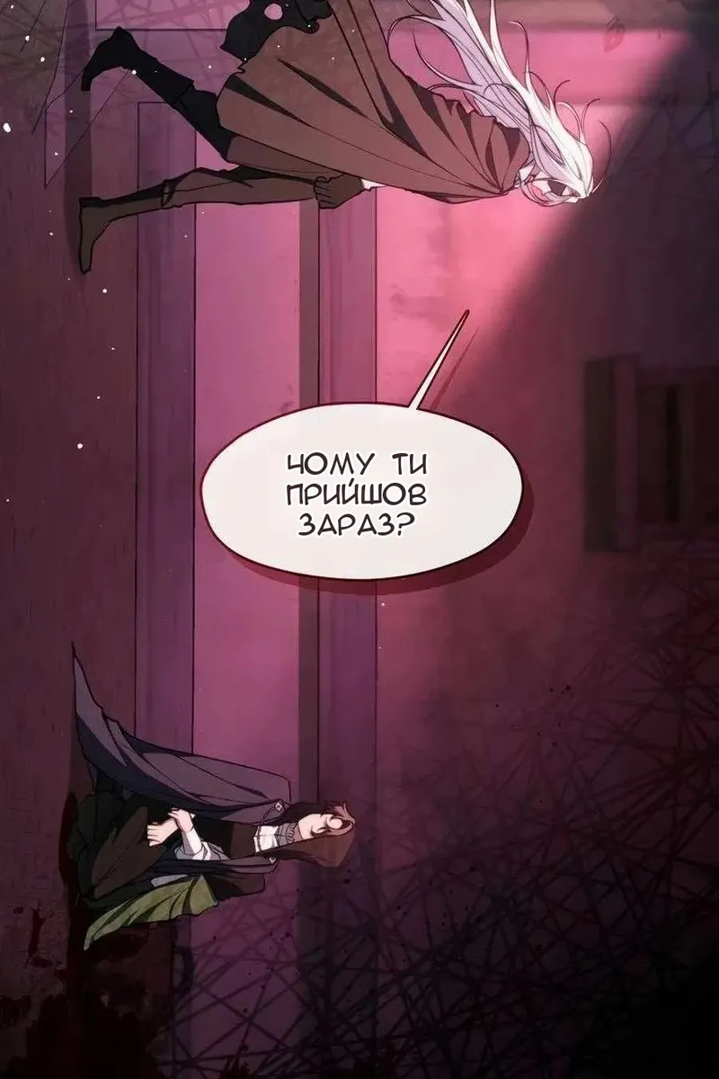 Сторінка 41