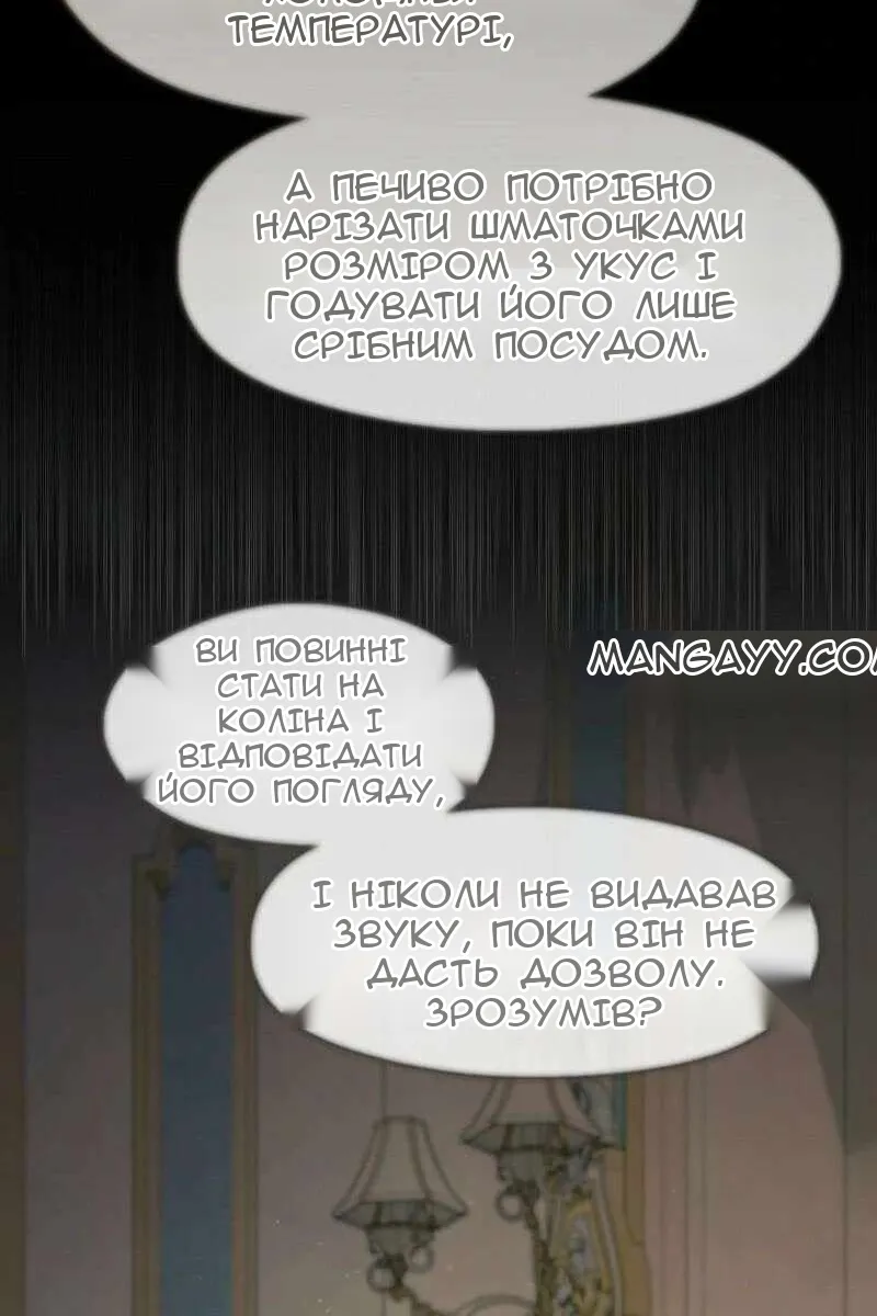 Сторінка 12