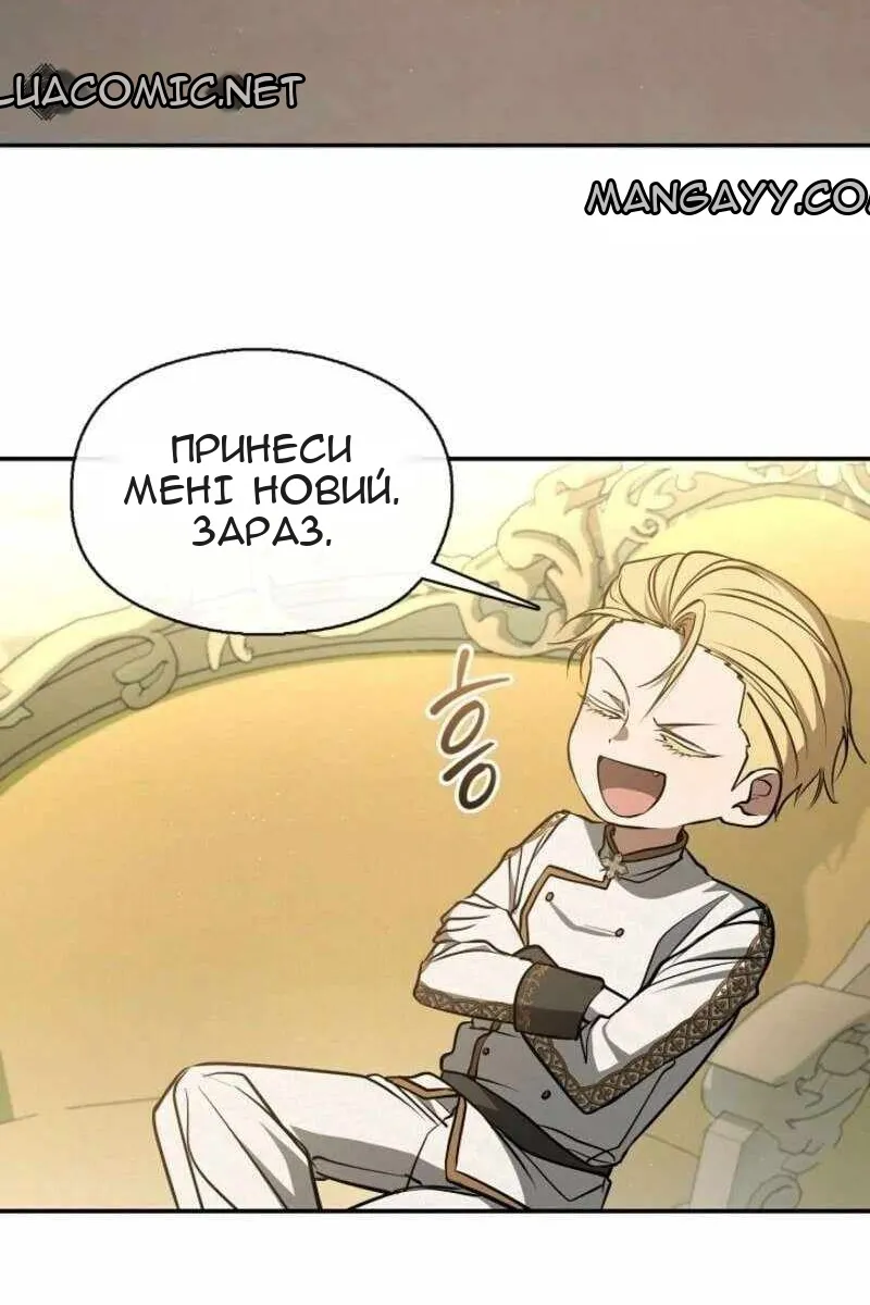 Сторінка 29