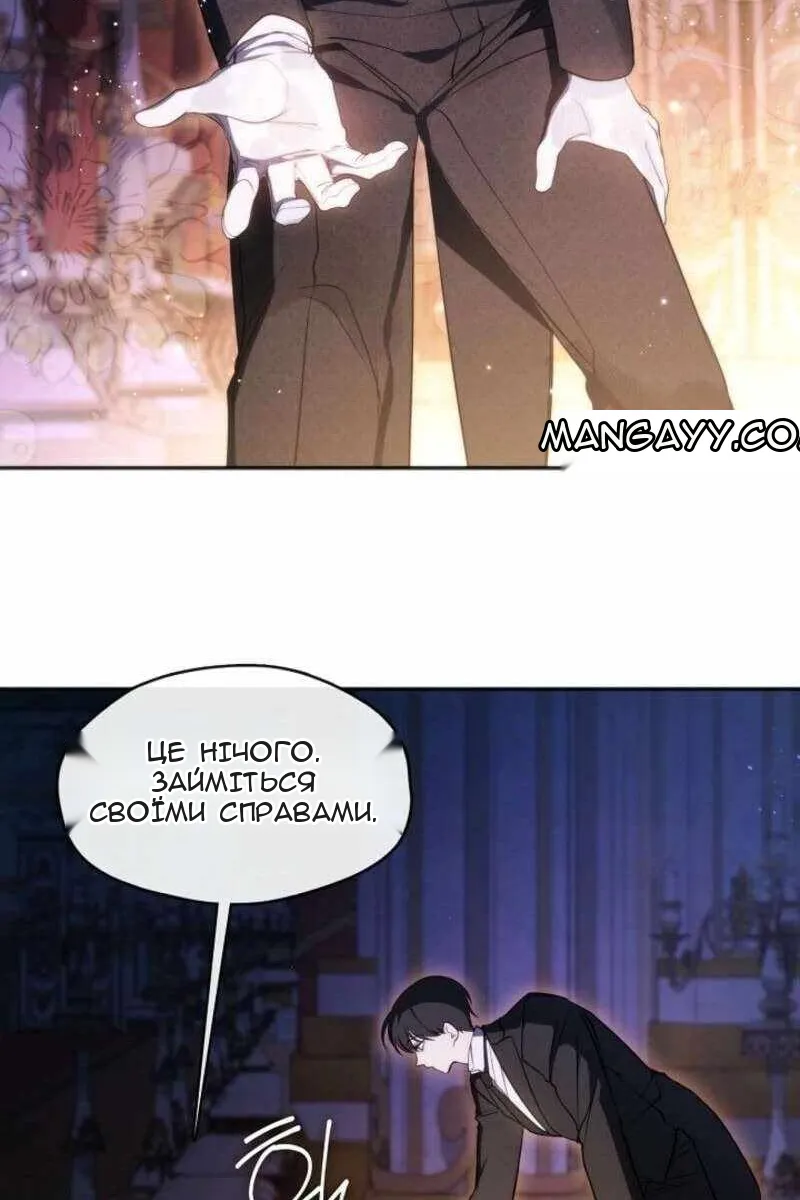Сторінка 41
