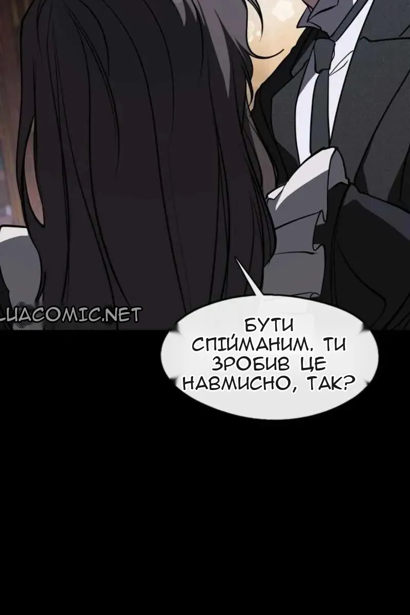 Сторінка 41