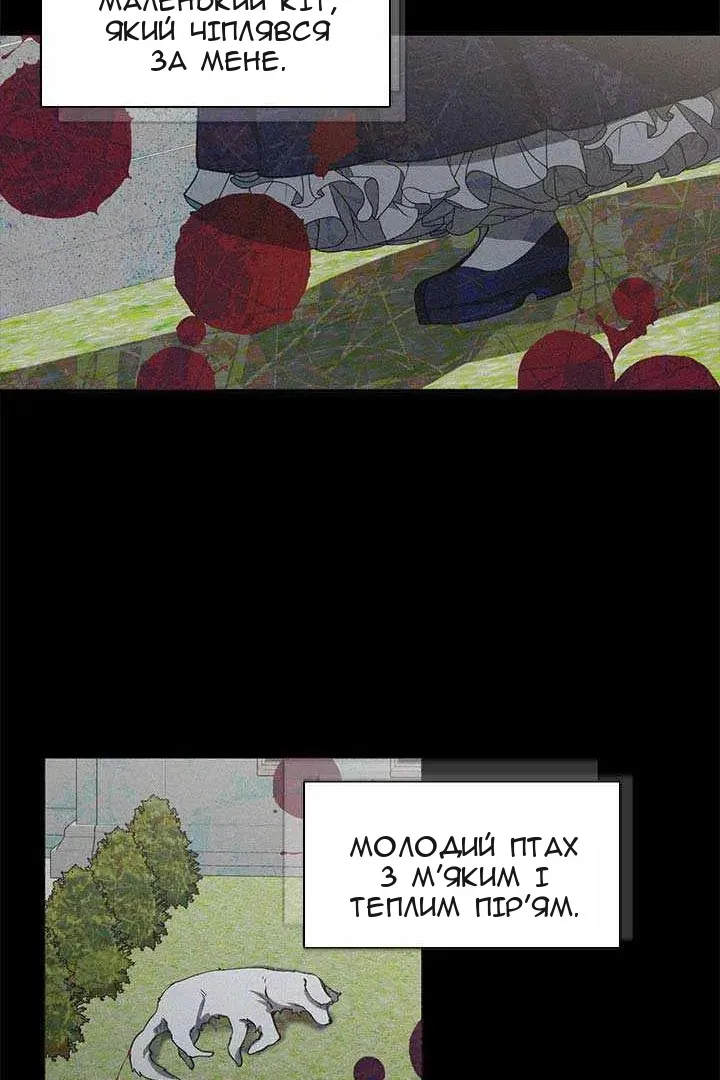 Сторінка 41