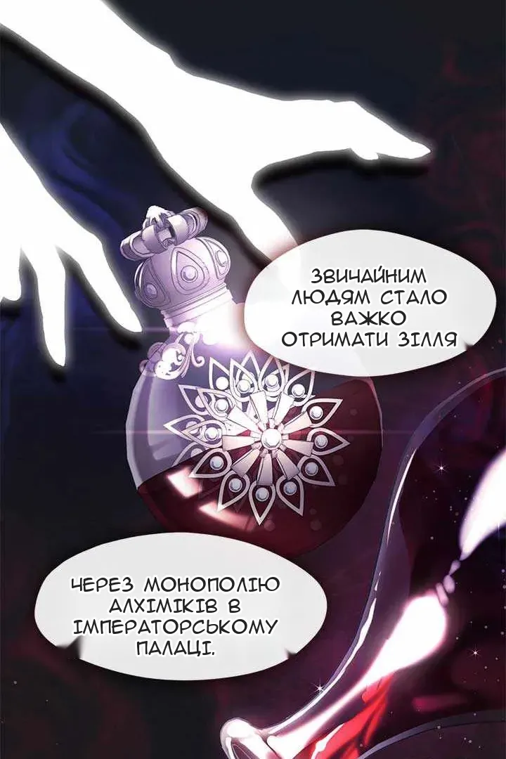 Сторінка 41