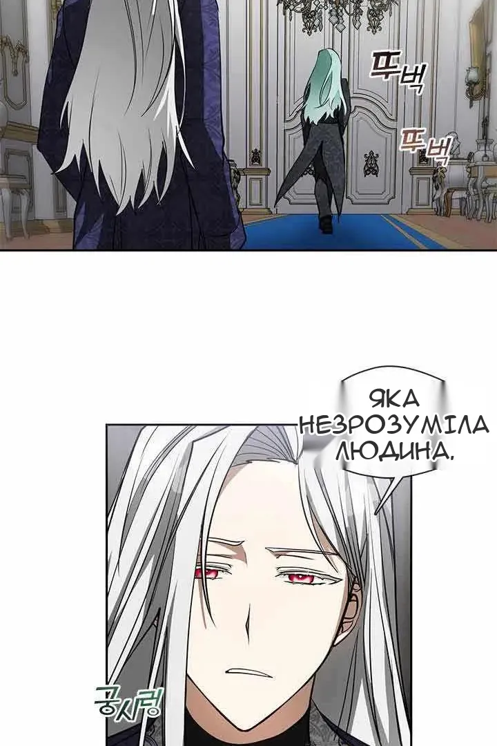 Сторінка 41