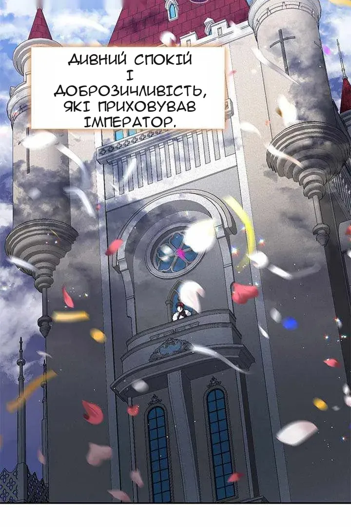 Сторінка 14