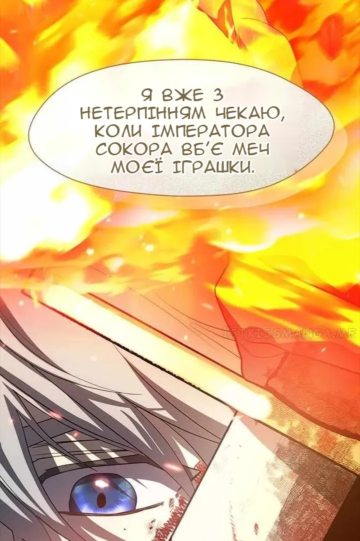Сторінка 17