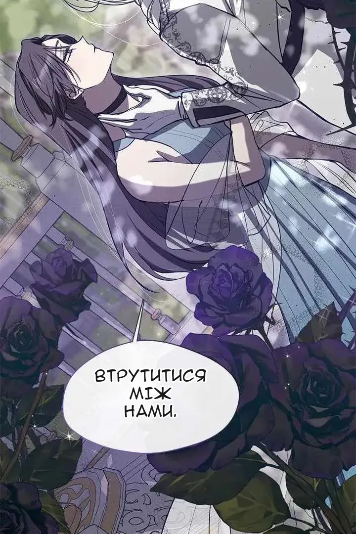 Сторінка 41