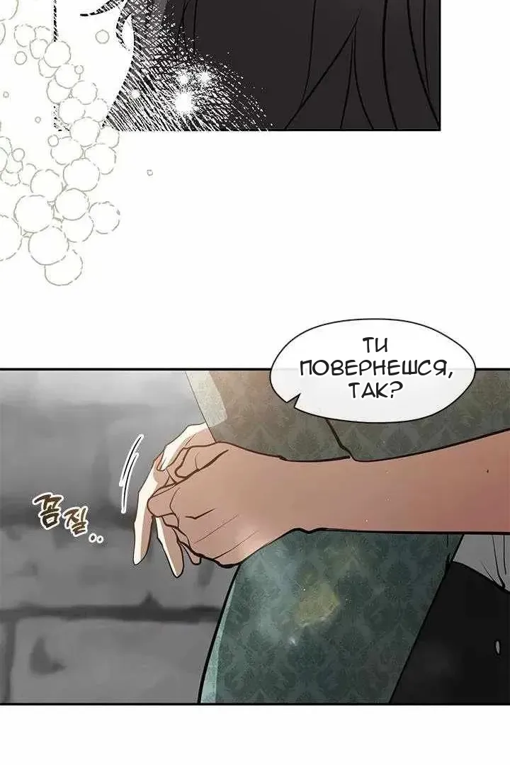 Сторінка 31