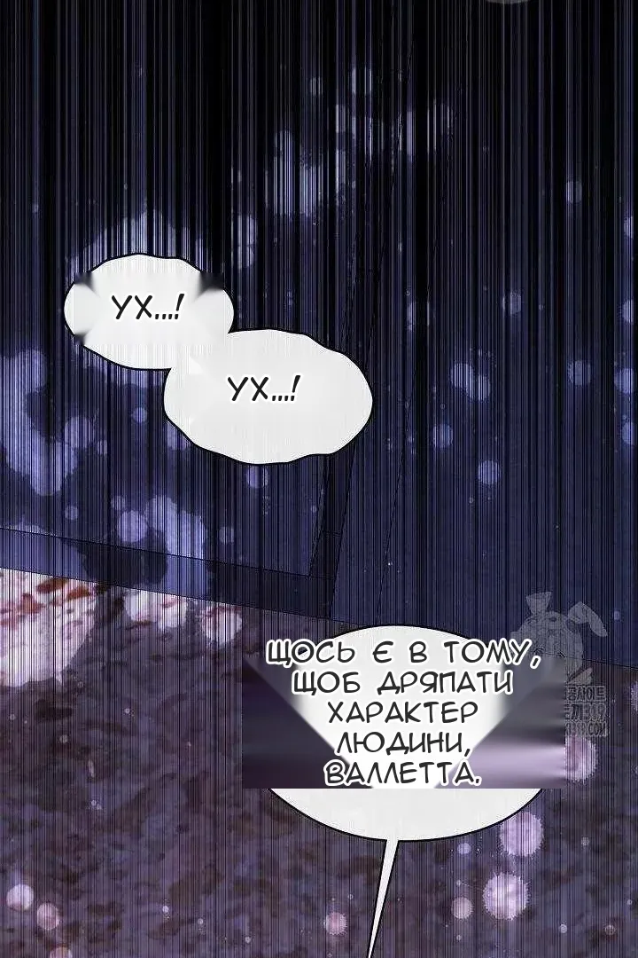 Сторінка 41
