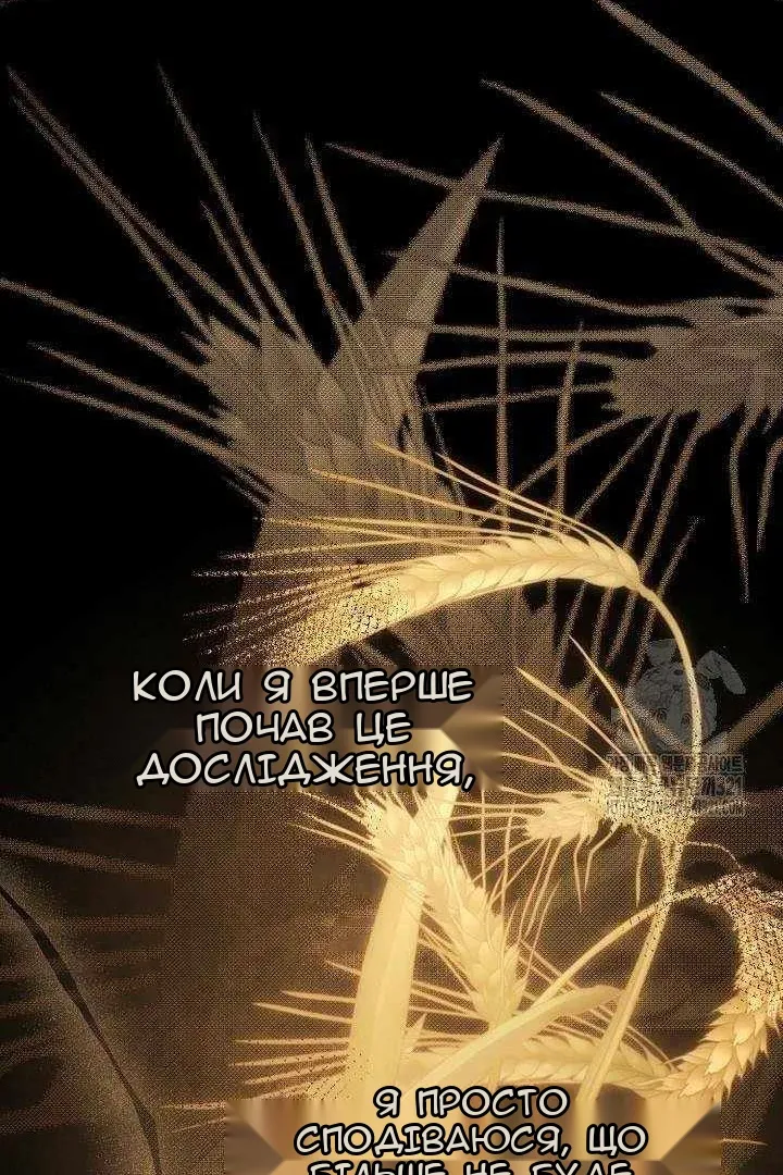 Сторінка 33