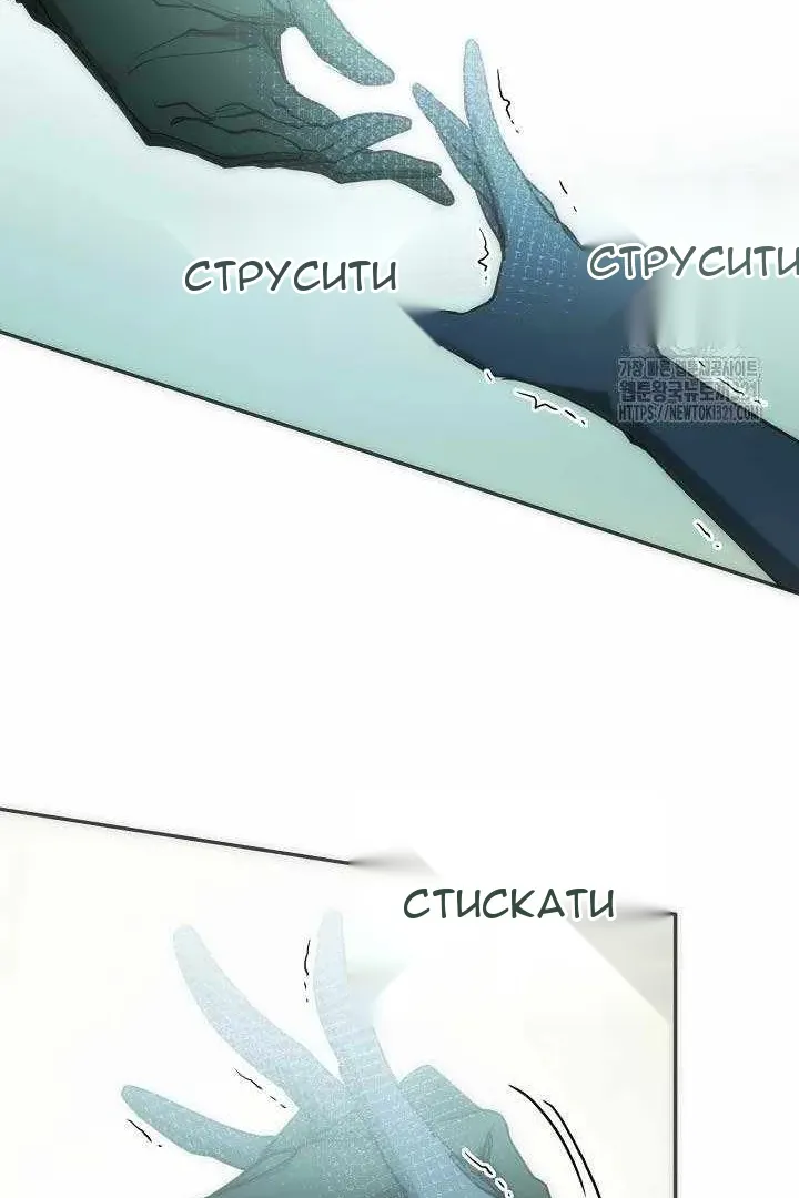 Сторінка 41